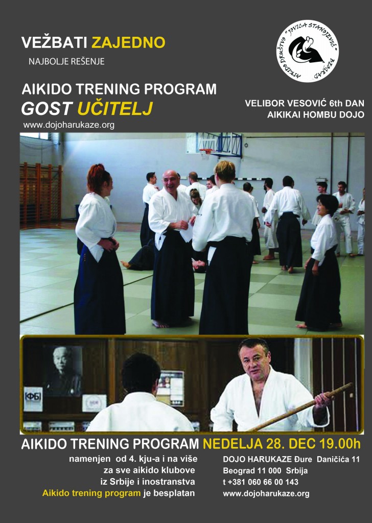 aikido trening program